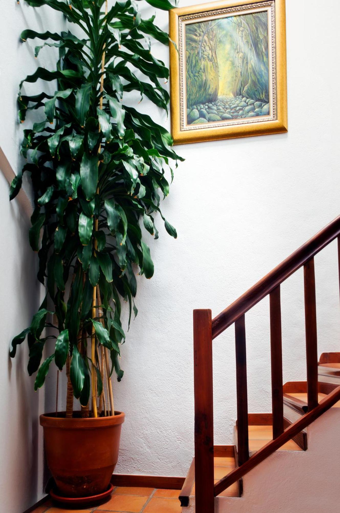 Villa Casa Emblematica Isabel à Santa Cruz de la Palma  Extérieur photo